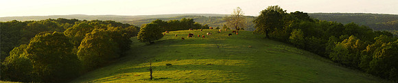 Rural Ozarks